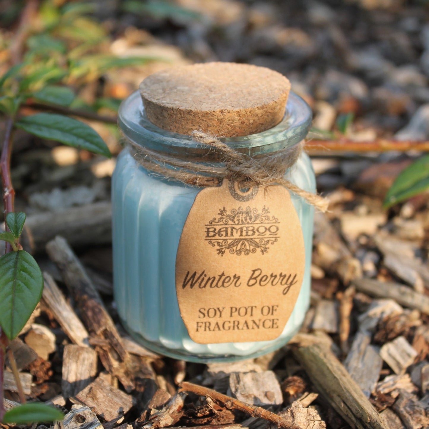Winter Berry