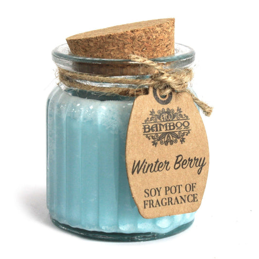 Winter Berry